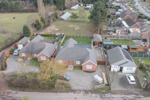 THE CONIFERS- click for photo gallery